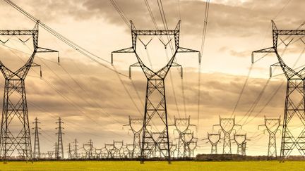 Des lignes à haute tension à la sortie de la centrale nucléaire de Gravelines (Nord), le 14 mars 2024. (CLAUDIUS THIRIET / BIOSPHOTO / AFP)