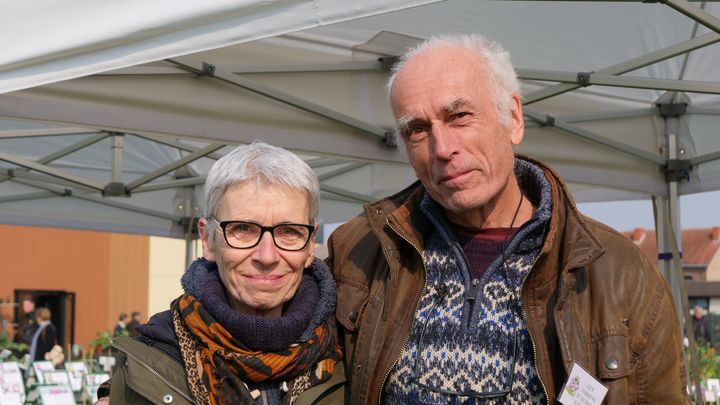 Anne-Marie et Pierre-Jean Gaillard cultivent leur collection de fougères en Vendée.&nbsp; (ISABELLE MORAND / RADIO FRANCE / FRANCE INFO)