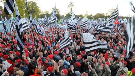 Les bonnets rouges manifestent
 ( AFP PHOTO / FRED TANNEAU)