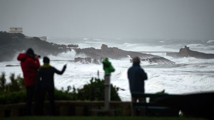 La côte de Biarritz (Pyrénées-Atlantiques), le 3 novembre 2019, lors de la tempête Amélie. (GAIZKA IROZ / AFP)