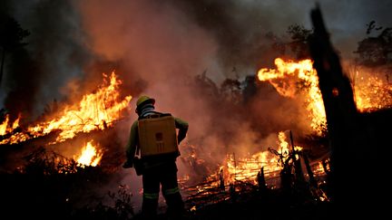 Un pompier tente de contrôler un incendie, le 11 août 2020 à Apui (Brésil). (UESLEI MARCELINO / REUTERS)