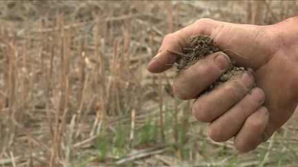 Agriculture : l'arrosage de certains producteurs encore nécessaire fin octobre