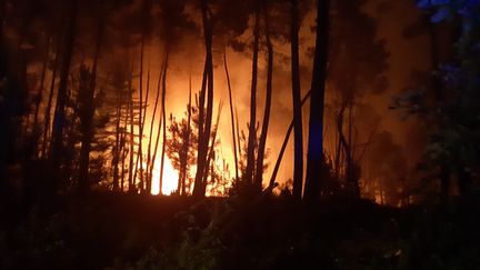 Les risques d'incendies sont importants&nbsp;dans&nbsp;le sud de l'Ardèche et de la Drôme en raison du vent. (NATHALIE RODRIGUES / FRANCE-BLEU DRÔME-ARDÈCHE)