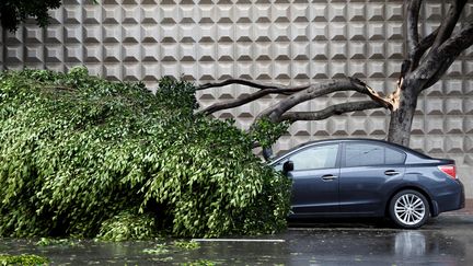 En Californie, les tempêtes à l'origine de destructions