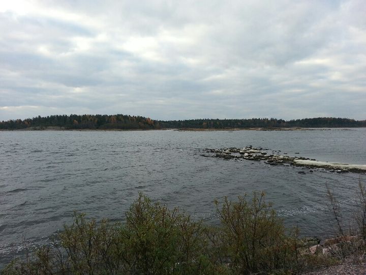 Au bord de la Baltique, le village de Forsmark (Suède) pourrait en 2020 accueillir le site de stockage des dechets nucléaires dangereux du pays. (Anne-Laure Barral / franceinfo)