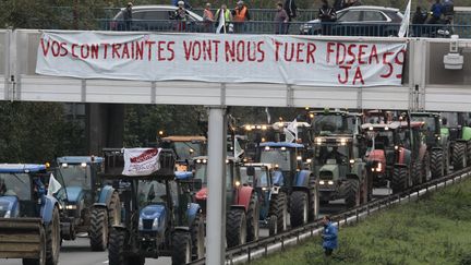 Manifestation d'agriculteurs et d'opposants &agrave; l'&eacute;cotaxe pr&egrave;s de Valenciennes (Nord), le 8 novembre 2013. (BAZIZ CHIBANE/SIPA)