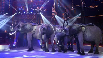 "Géant", la création-anniversaire des Bouglione au Cirque d'Hiver à Paris
 (BERTRAND GUAY / AFP)