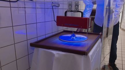 Pour rassurer ses clients, le chef étoilé de Colmar&nbsp;(Haut-Rhin), Éric Girardin, a installé des lampes à UV pour désinfecter ses plats avant de les servir en salle. (CAPTURE ECRAN FRANCE 2)