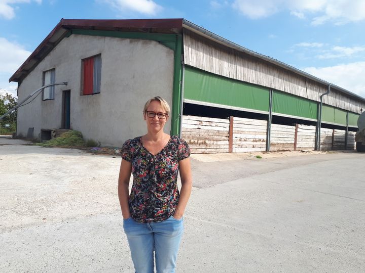 L'exploitation en milieu confiné de&nbsp;Christine Maire, éleveuse porcine à Herméville-En-Woëvre,&nbsp;est moins sujette à une contamination extérieure. (FARIDA NOUAR / FRANCEINFO)