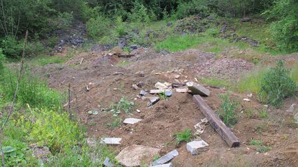 Le 3 juin 2015, sur le terrain forestier de Tincry (Moselle) o&ugrave; ont &eacute;t&eacute; d&eacute;couverts des ossements issus de cimeti&egrave;res. (F. MAGNENOU / FRANCETV INFO)