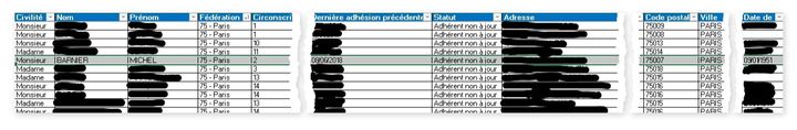 Extrait du fichier des adhérents LR au 31 décembre 2019, que franceinfo a pu consulter.&nbsp; (FRANCEINFO)