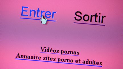 Page d'ouverture sur un site pornographique sur un écran d'ordinateur. (MAXPPP)