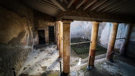 La "maison de l'éphèbe" dans le parc archéologique de Pompéi (Italie) le 23 décembre 2019 (CESARE ABBATE / ANSA)