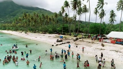 12/13 le mag : six nageurs handisport relèvent le défi dans le Pacifique