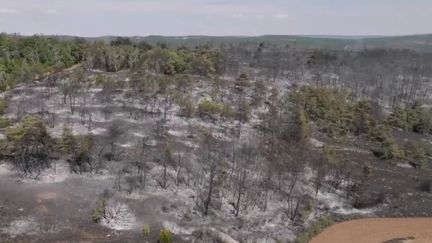 Climat : 2022, une année exceptionnelle en France