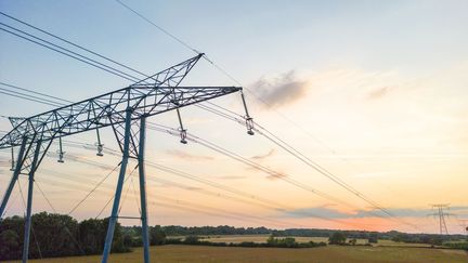 Un poteau électrique haute-tension dans le Loiret. Photo d'illustration (GARDEL BERTRAND / HEMIS.FR / HEMIS.FR)