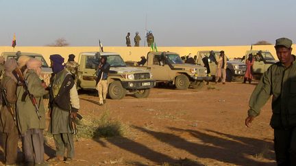 Des troupes positionnées à Gao, dans le nord du Mali, le 9 janvier 2017.&nbsp; (AFP)