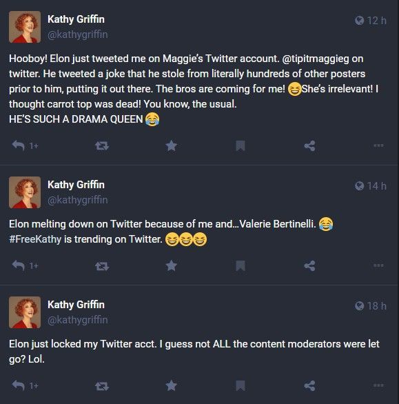 Série de messages postés par l'humoriste américaine Kathy Griffin où elle se moque du nouveau patron de Twitter, Elon Musk.&nbsp; (CAPTURE D'ECRAN DU COMPTE MASTODON DE KATHY GRIFFIN)