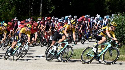 Le peloton du 107e Tour de France sera plongé dans une "bulle sanitaire" (LAURENT THEVENOT / MAXPPP)