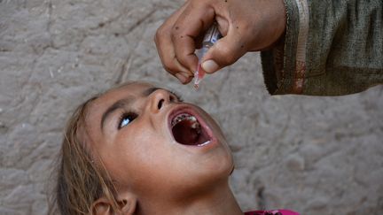 6,5 millions d'enfants ont été vaccinés contre la polio en Afghanistan lors d'une campagne commencée le 29 août 2016 (NOORULLAH SHIRZADA / AFP)