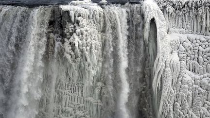 Les chutes du Niagara&nbsp;sont gel&eacute;es du c&ocirc;t&eacute; am&eacute;ricain &agrave; Ontario (Canada), le 8 janvier 2014. (AARON HARRIS / REUTERS)