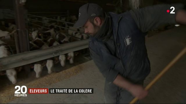 Viande bovine : l'accord UE-Mercosur inquiète les éleveurs