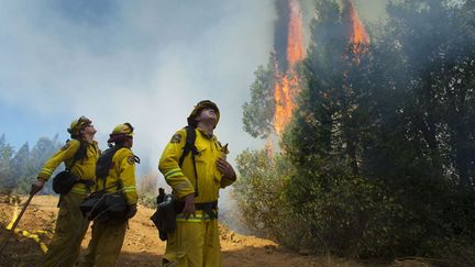 &nbsp; (L'incendie Rock Fire en Californie © Maxppp)