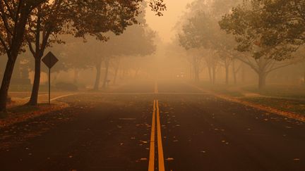 Une rue évacuée à cause du Kincade fire, le 27 octobre 2019 à Windsor (Etats-Unis). (STEPHEN LAM / REUTERS)