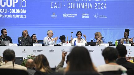 La présidente de la COP16, Susana Muhamad (au centre), lors du dernier jour du sommet à Cali (Colombie), le 2 novembre 2024. (JOAQUIN SARMIENTO / AFP)