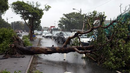 Durban sous les eaux après une violente tempête