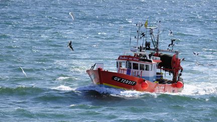 Un chalutier breton rentre de sa pêche, au Guilvinec (Finistère). (GUIZIOU FRANCK / HEMIS.FR)