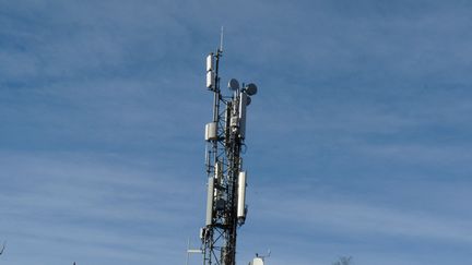 Les pylônes avec antennes relais&nbsp;cible d'attaque dans la région Auvergne-Rhône-Alpes (photo d'illustration). (VINCENT PILLET / RADIO FRANCE)