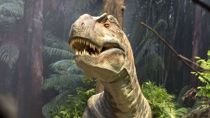 Un dinosaure repr&eacute;sent&eacute; dans une exposition &agrave; Cornwall (Royaume-Uni), le 21 juillet 2014. (VAUGHAN PICKHAVER / REX / SIPA)