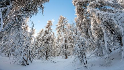 Le Val d'Allos, dans les Alpes-de-Haute-Provence, le 24 d&eacute;cembre 2014. (ROBERT PALOMBA / ONLY FRANCE)