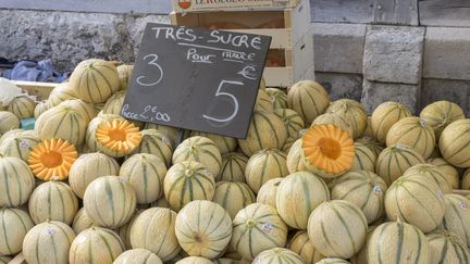 Le melon est l'un des fruits les plus prisés en été. (CHRISTIAN WATIER / MAXPPP)