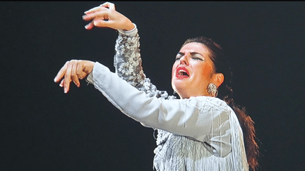 Toute la passion douloureuse du flamenco transparaît dans les clichés d'Olivia Pierrugues.
 (O. Pierrugues / capture d&#039;écran France 3)