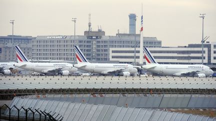 L'a&eacute;roport de Roissy-Charles-de-Gaulle&nbsp;(Val-d'Oise) le 7 f&eacute;vrier 2012.&nbsp; (BERTRAND GUAY / AFP)