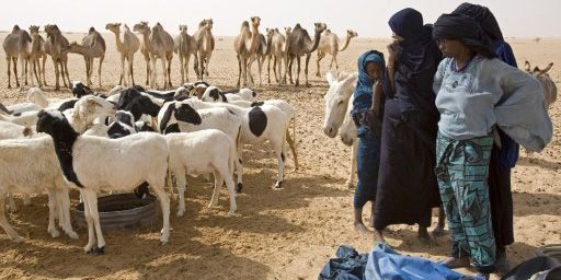 Touaregs près d'un puits dans le désert du Ténéré au Niger (3 juin 2007) (AFP - Biospho - Michel Gunther)