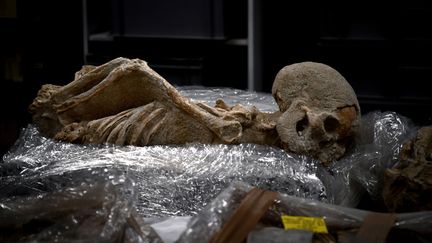 Squelette d'un homme de la Grèce antique attaché dans le dos, dans un laboratoire de l'École américaine d'archéologie d'Athènes, en vue d'une vaste enquête au long cours (7 juillet 2017)
 (Aris Messinis / AFP)