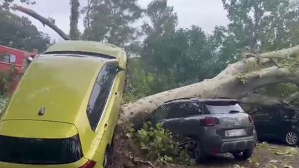 Jeudi 18 août, de violents orages ont frappé la Corse en pleine saison touristique. Certains vacanciers ont eu la peur de leur vie. (FRANCEINFO)