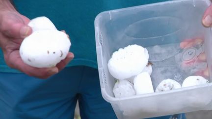 Intempéries&nbsp;: un violent orage de grêlons s’est abattu sur Châteauroux&nbsp; (France 3)