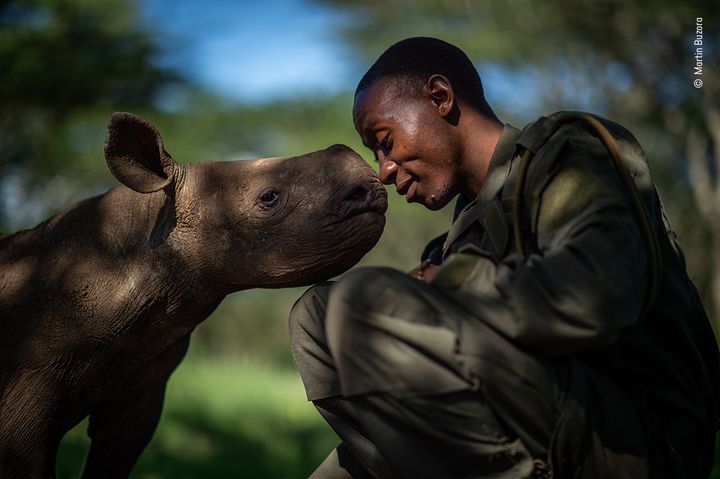 Un bébé rhinocéros et un garde forestier au Kenya. (MARTIN BUZORA)