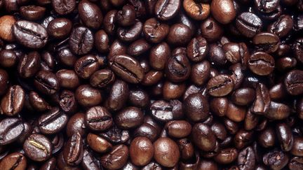 Italie : à la découverte du premier café produit en Europe