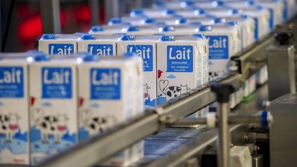 Lait : le succès des circuits courts