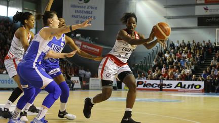 Villeneuve d'Ascq au sommet du basket français (PIB / MAXPPP)