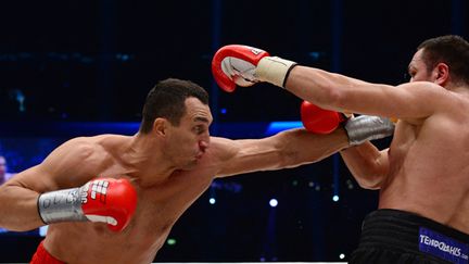  Wladimir Klitschko (à gauche) a envoyé le Bulgare Kubrat Pulev au tapis.  (JOHN MACDOUGALL / AFP)