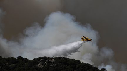 Un Canadair lance de l'eau au-dessus de&nbsp;Cenicientos, dans&nbsp;la province de Madrid, le 29 juin 2019. (PIERRE-PHILIPPE MARCOU / AFP)