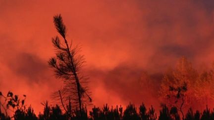 Dérèglement climatique : orages, incendies, canicule... un été marqué par des épisodes extrêmes