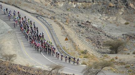 Le peloton du Tour d'Oman