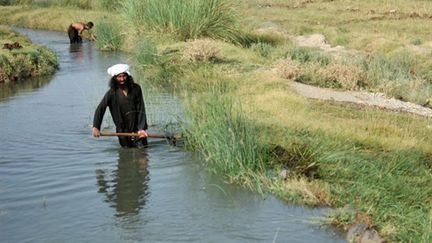 Dans la province du Helmand (sud de l'Afghanistan) (AFP - BAY ISMOYO)